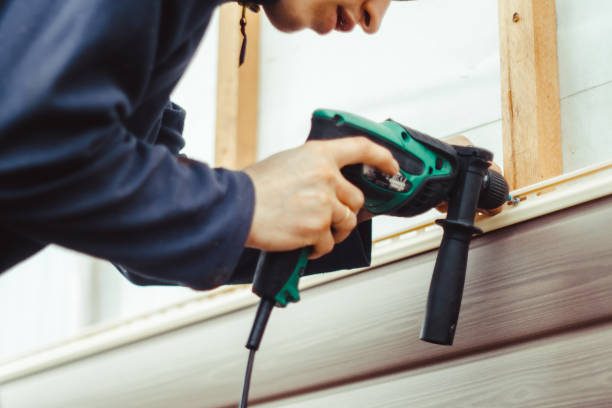 Best Insulated Siding Installation  in Lake Sherwood, CA